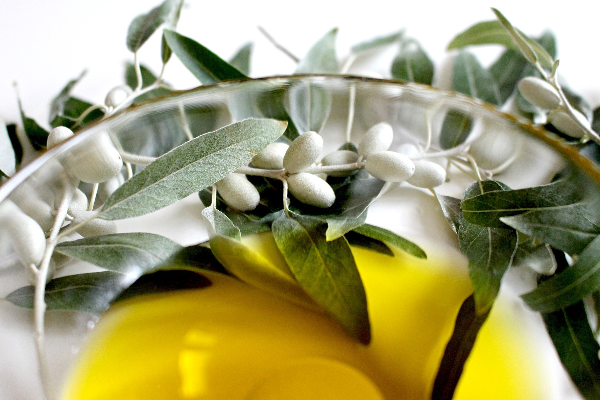 ﻿Olívaolaj hatása a bőrre